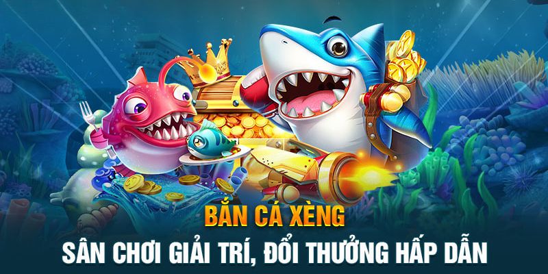 Cách chơi đơn giản đạt hiệu quả cao cho tân binh