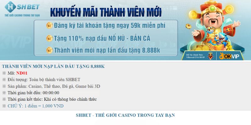 Hội viên nên tuân thủ quy định để nhận được khuyến mãi SHBET